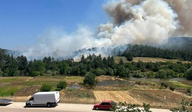 Bursa Orhaneli’de alevler yeniden canlandı