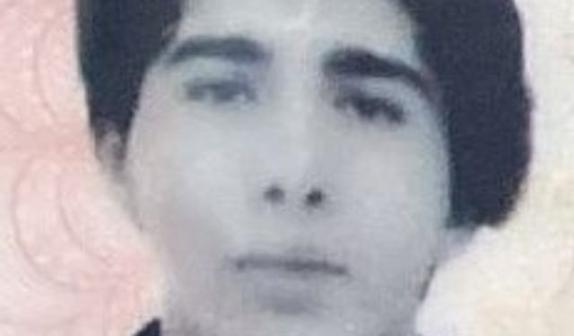 Ambulansın çarptığı üniversite öğrencisi, öldü