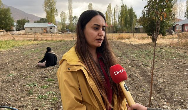 Hakkari'de ilk kez ekilen safranın hasadı yapılacak