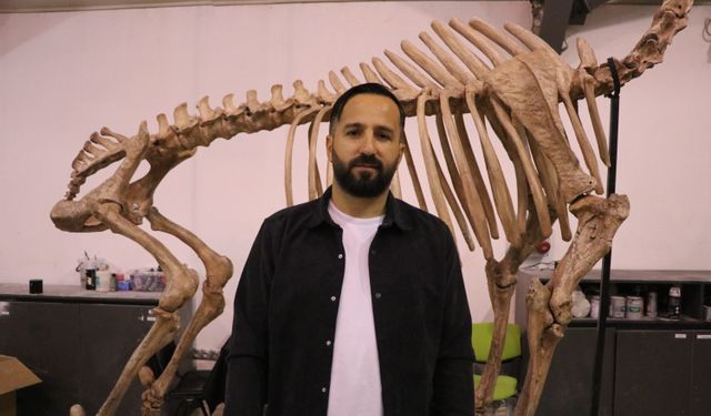 7,5 milyon yıllık fosiller ve replikaları ayna yöntemi ile 3D yazıcılarla ayaklandırılıyor / Ek fotoğraflar