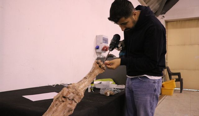 7,5 milyon yıllık fosiller ve replikaları ayna yöntemi ile 3D yazıcılarla ayaklandırılıyor