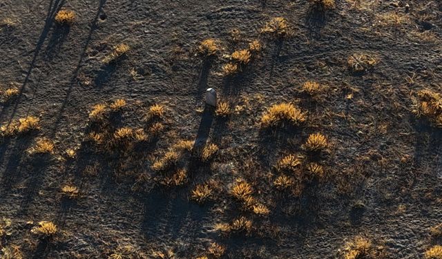 92 yıl önce köy mezarı yerine Çatalhöyük'e gömülen Güllü Ayşa'nın öyküsü