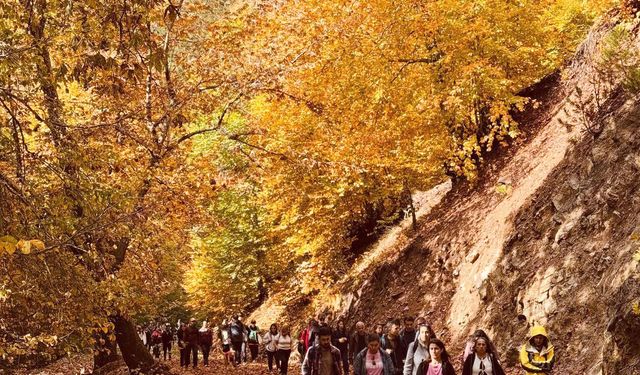 Amanos Dağları'nda sonbahar manzarası