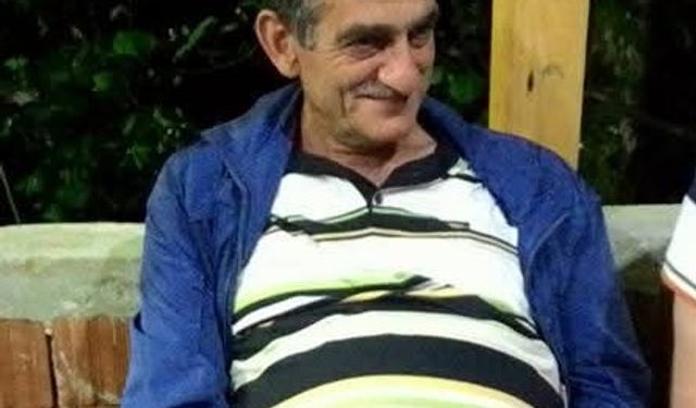 Arı kovanlarının bulunduğu ahşap yapı devrildi; 2 ölü, 1 yaralı