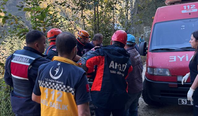 Arı kovanlarının bulunduğu ahşap yapı devrildi; 2 ölü, 1 yaralı/Ek fotoğraflar