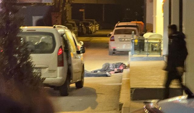 Avukat, tartıştığı otel sahibi baba ile oğlunu öldürdü