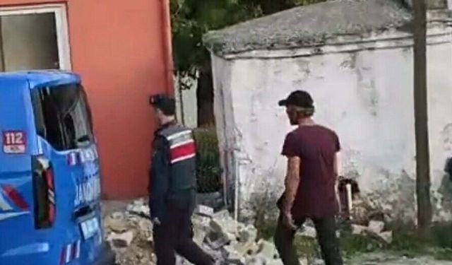 Aydın'da orman yangını (2)