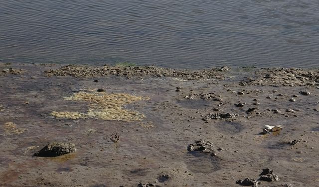 Barajda su çekildi, 58 yıllık dede toprağı gün yüzüne çıktı / Ek fotoğraflar