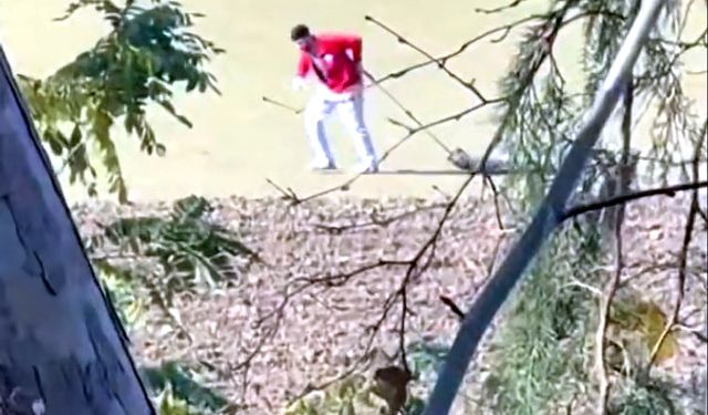 Belediye personeli, sokak köpeğini iple sürükledi