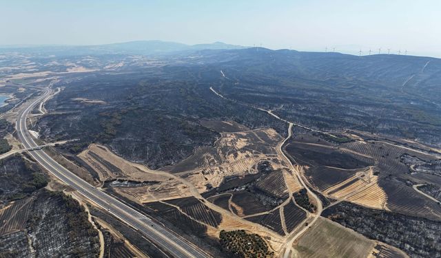 Çanakkale'de yanan alanların yeniden rehabilitasyonu için çalıştay