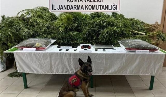 Çiftlikte uyuşturucu bulunmasında sahibi avukat beraat etti, kiracı ceza aldı