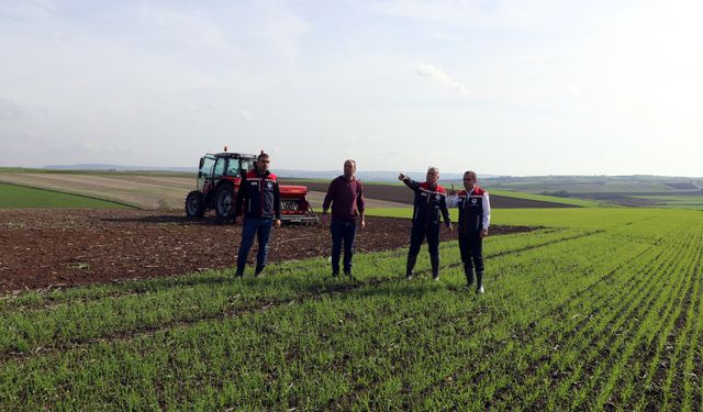 Edirne'de buğdayda kuraklığa karşı en ideal ekim metodu belirlenecek