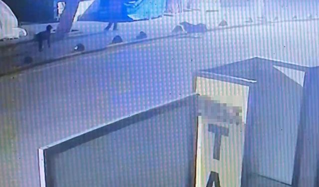 Emekli astsubay, sokak köpeğini tabancayla vurdu; o anlar güvenlik kamerasında