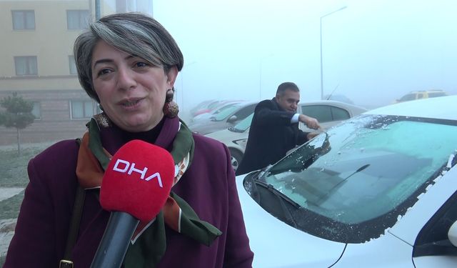 Erzurum ve Kars'ta sis etkili oldu; yolcu otobüsü ile TIR çarpıştı