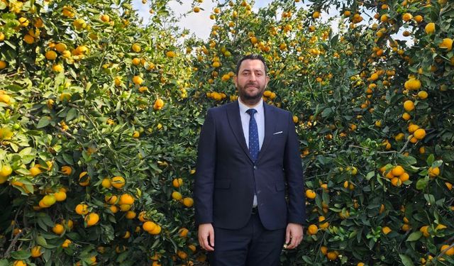 Hatay'da dalında kalan mandalinadan meyve suyu üretilecek