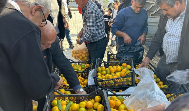 Hatay'da üreticiler, alıcı çıkmayan tonlarca mandalinayı ücretsiz dağıttı