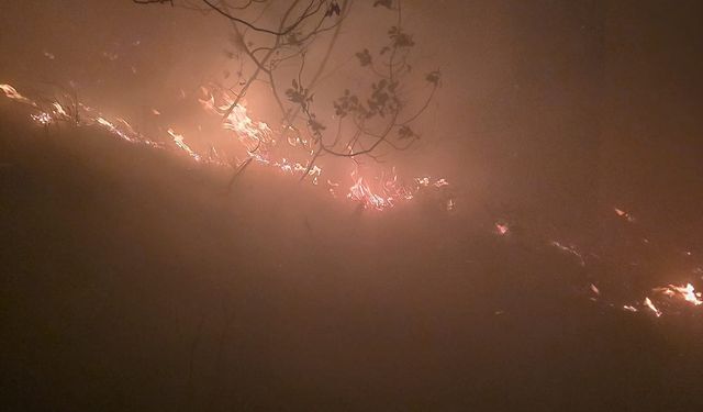 Hatay'da yıldırım düşmesi sonucu çıkan orman yangını, 12 saatte kontrol altına alındı