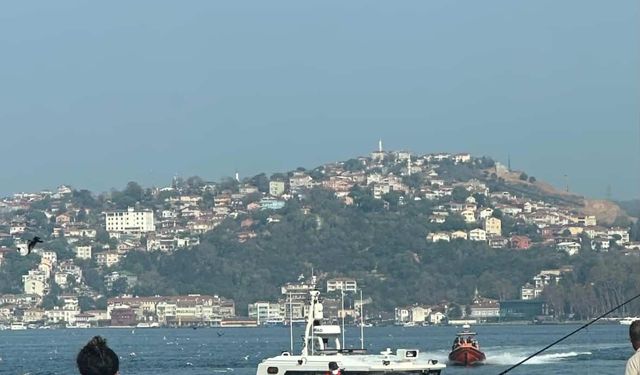 İstanbul- Beykoz'da denizde erkek cesedi bulundu