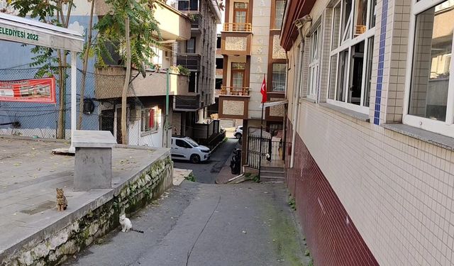 İstanbul- Gaziosmanpaşa'da 'yan baktın' kavgasında çocuk silahla ateş açtı; dede öldü, torun yaralandı