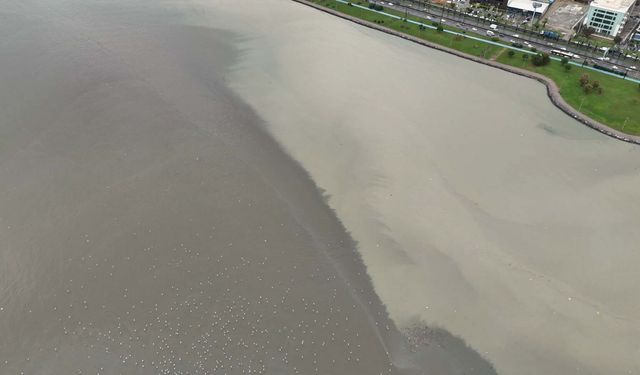 İzmir'de sağanak etkili oldu (2)