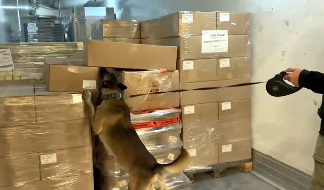 Kapıkule'de TIR'dan 66 kilo 400 gram uyuşturucu hammaddesi ele geçirildi