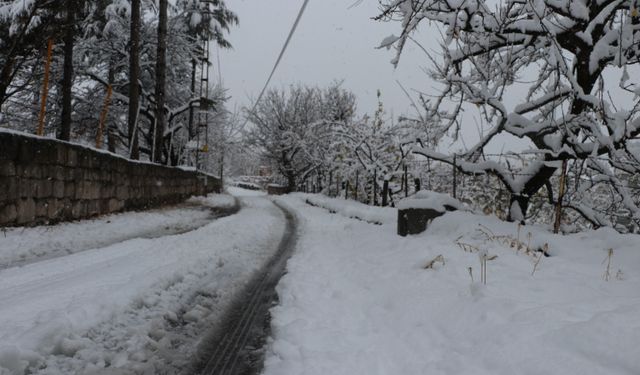 Kayseri'de kar yağışı