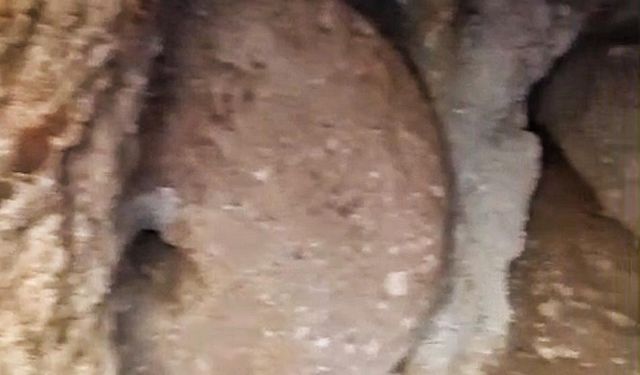 Keşfettikleri yer altı şehrinde kaçak kazı yapan 2 şüpheliye suçüstü