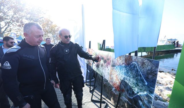 Kocaeli Büyükşehir Belediye Başkanı Büyükakın, İzmit Körfezi'ne dalış gerçekleştirdi