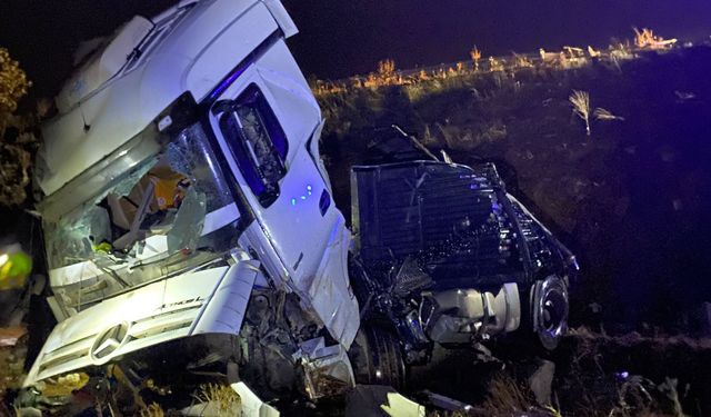 Malatya'da şarampole devrilen TIR'ın sürücüsü öldü