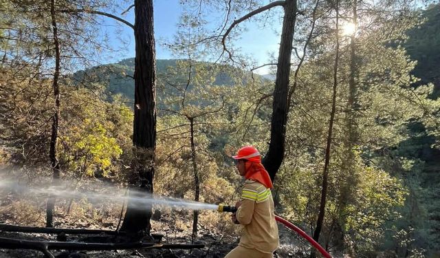 Muğla Seydikemer'de orman yangını (2)