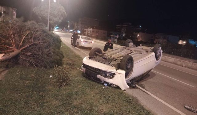 Otomobil, ağaca çarpıp ters döndü; 1 yaralı