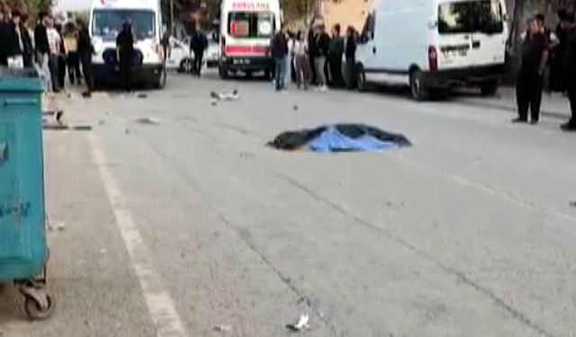 Otomobilin çarptığı Güney, hayatını kaybetti