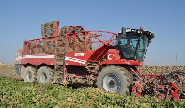 Pancar üreticisi fiyattan memnun