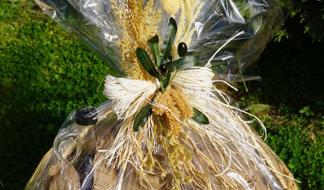 Papa 14'üncü Leo, İznik'te (5)