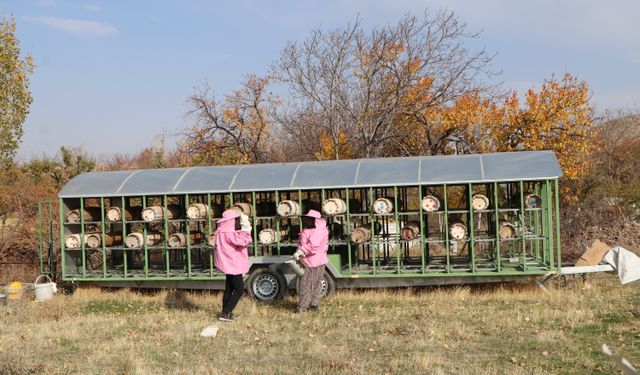 Pembe maskeli arıcı kadınlar, bal hasadında 'meme kanserine' dikkat çekti