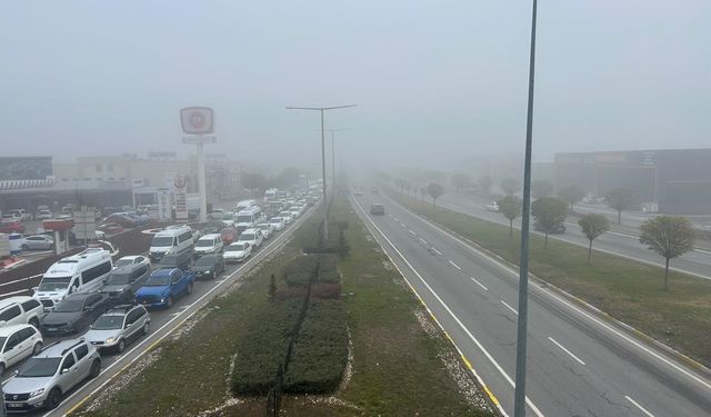 Sivas'ta yoğun sis