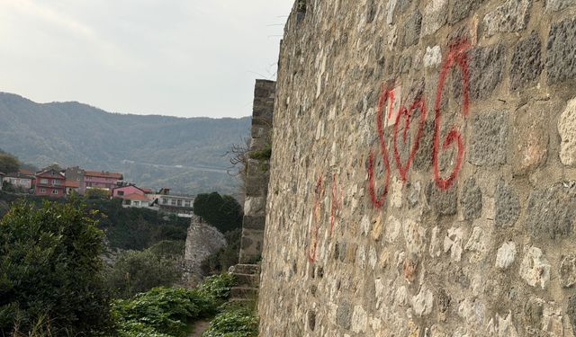 Tarihi kalenin duvarlarını sprey boyayla boyadılar