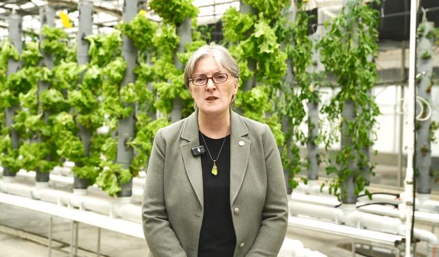 TENMAK'ta kuraklığa ve dona dayanabilen gıdalar geliştiriliyor