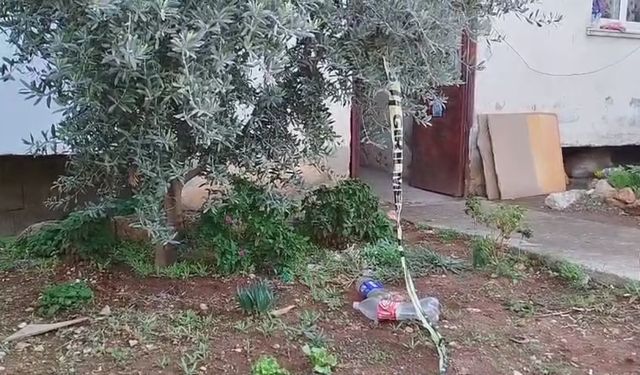 Uzaklaştırma kararı bitti; tartıştığı eşini pompalı tüfekle öldürdü