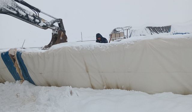 Üzerindeki karın ağırlığını taşıyamayan çadır çöktü, 8 koyun öldü