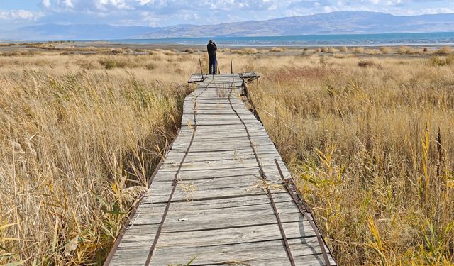 Van Gölü'ndeki çekilme fotoğraflarda