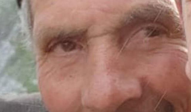 Yoğun sisin etkili olduğu Erzurum'da çoban koyun sürüsüyle kayboldu / Ek fotoğraf