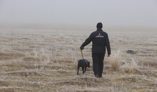 Yoğun sisin etkili olduğu Erzurum'da çoban koyun sürüsüyle kayboldu / Ek fotoğraflar