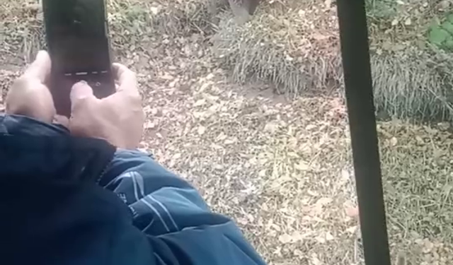 Yol kenarında gördükleri bozayıyı kameraya aldılar