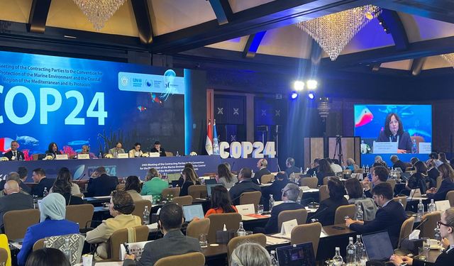 ‘Akdeniz Bölgesel İklim Değişikliği Merkezi’ İstanbul’da faaliyete geçecek