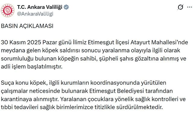 Ankara'da 2 kardeşe saldıran pitbull ve sahibi yakalandı (2)