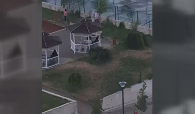 Ankara'da 2 kardeşe saldıran pitbullun sahibi tutuklandı (5)