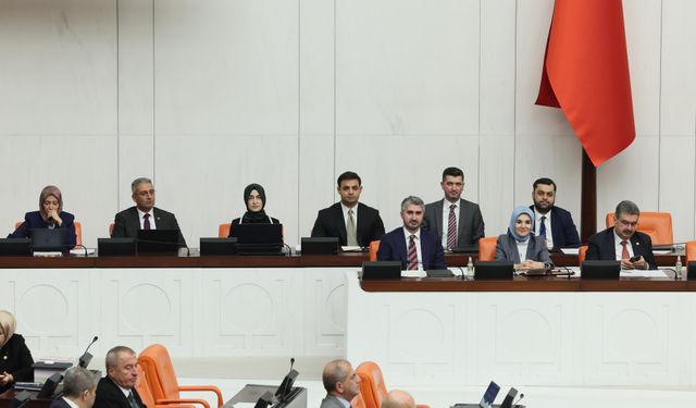 Bütçe görüşmeleri sürerken Genel Kurul'da 'Leyla Zana' kınaması (2)