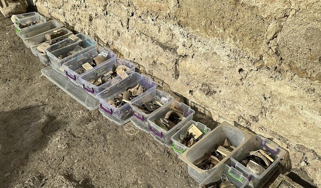 Cezayirli Gazi Hasan Paşa'ya ait köşk ve çiftlik kalıntıları gün yüzüne çıkarılıyor