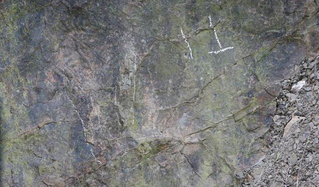 Çin'de yaklaşık 200 milyon yıl öncesine ait dinozor ayak izleri bulundu